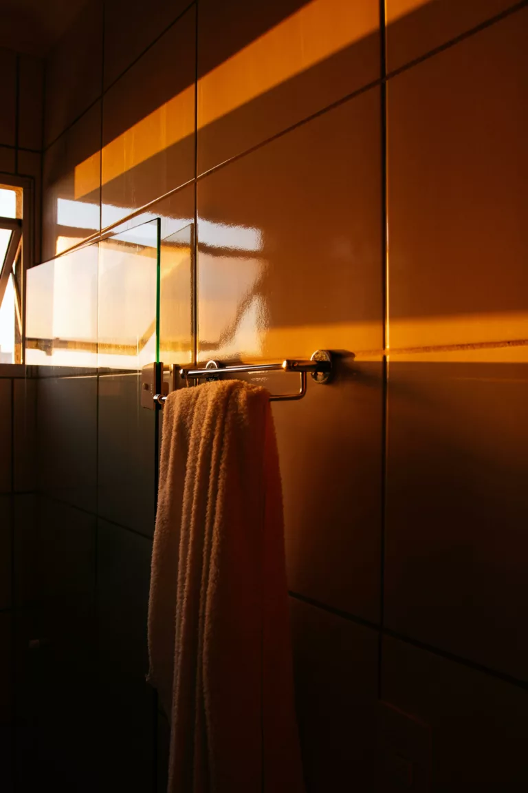 The Ultimate Guide to Bathroom Towel Hangers